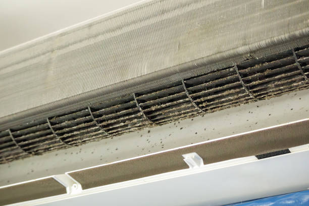 Best Best Air Duct Cleaning Company  in El Mirage, AZ